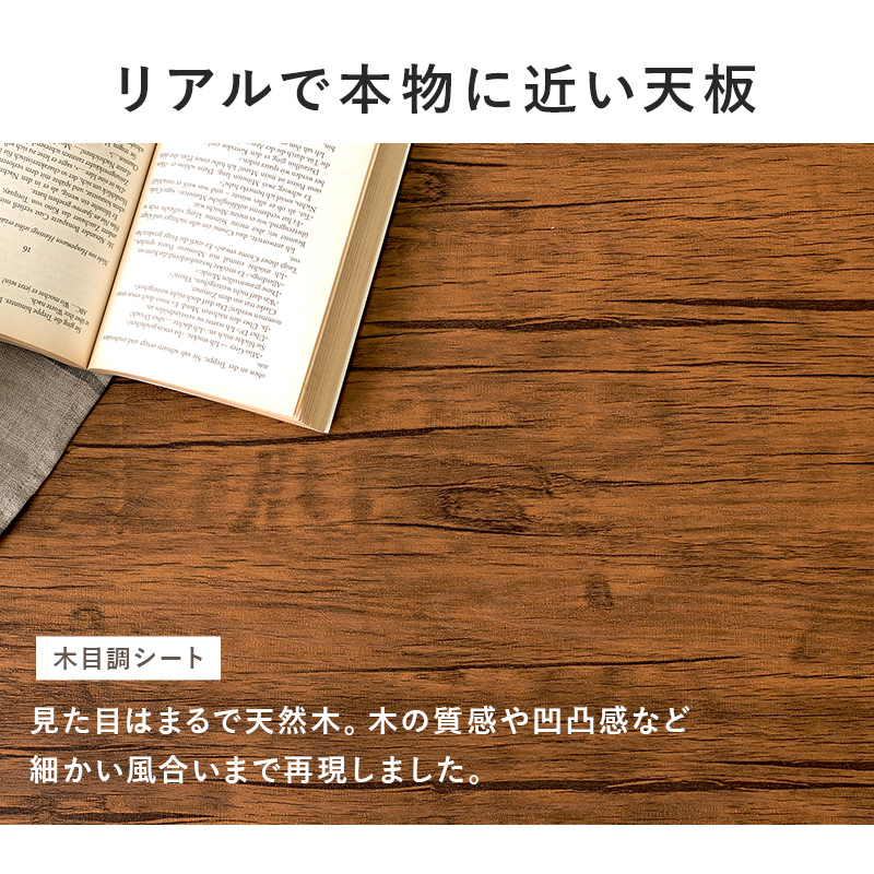 lt4919_lp05
