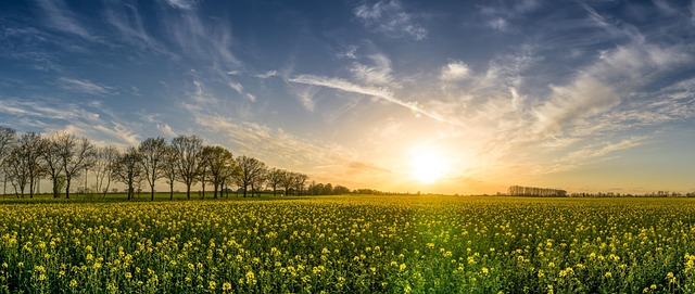 rural