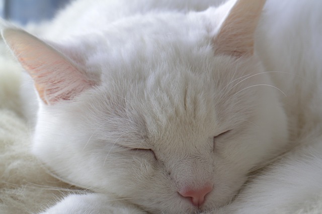 sleep